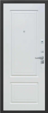 ТОЛСТЯК БУКЛЕ ЧЕРНЫЙ / БЕЛЫЙ ЯСЕНЬ